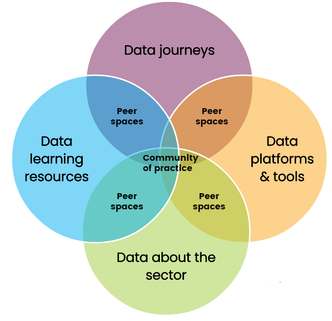 Ven diagram showing all 4 strands overlapping with peer learning spaces at the overlap with each and a community of practice in the centre