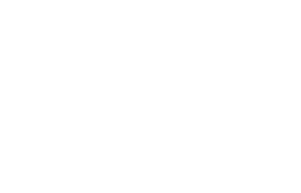 Datawise London logo